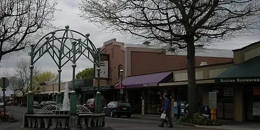 Pedestrian walking near shops and fountain